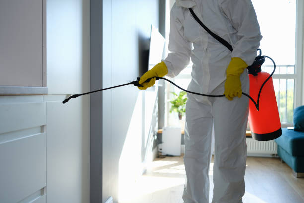 Best Residential Mold Removal  in Erwin, TN